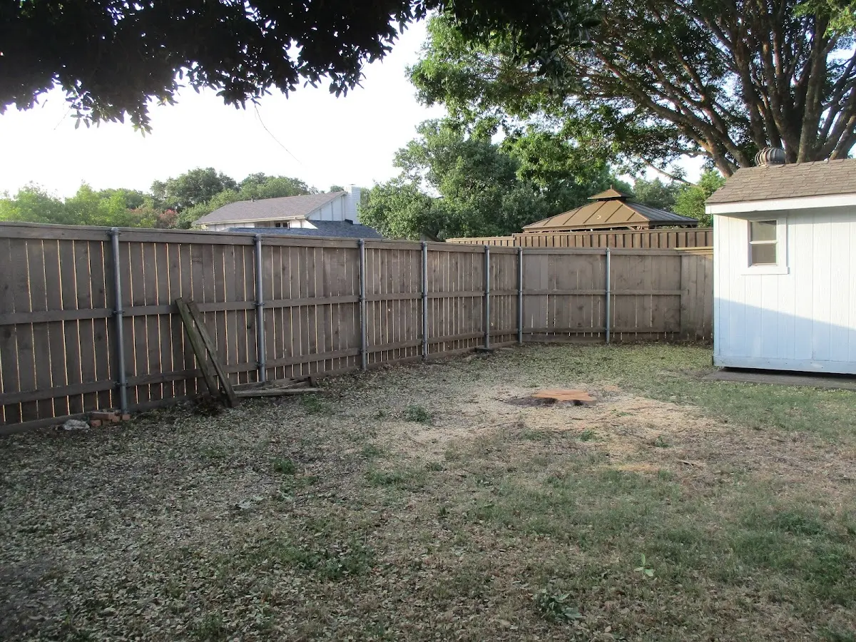 Cleared yard after professional tree removal in West Greene